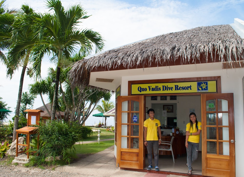 quo vadis dive resort moalboal