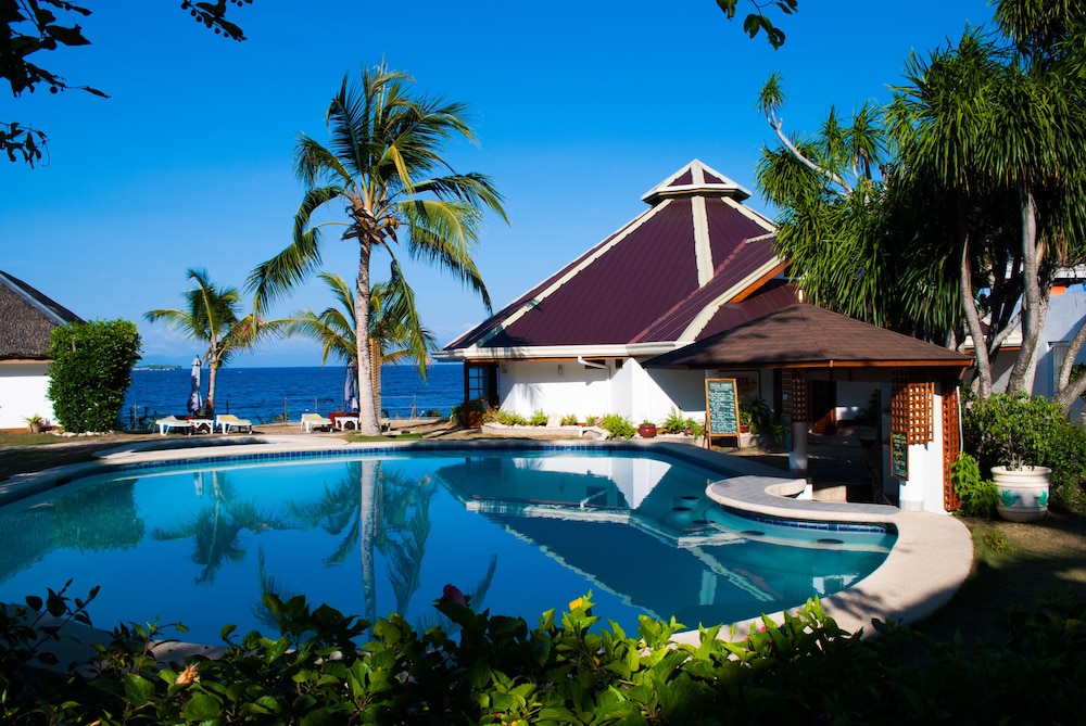 quo vadis dive resort moalboal