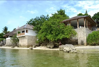 quo vadis dive resort moalboal