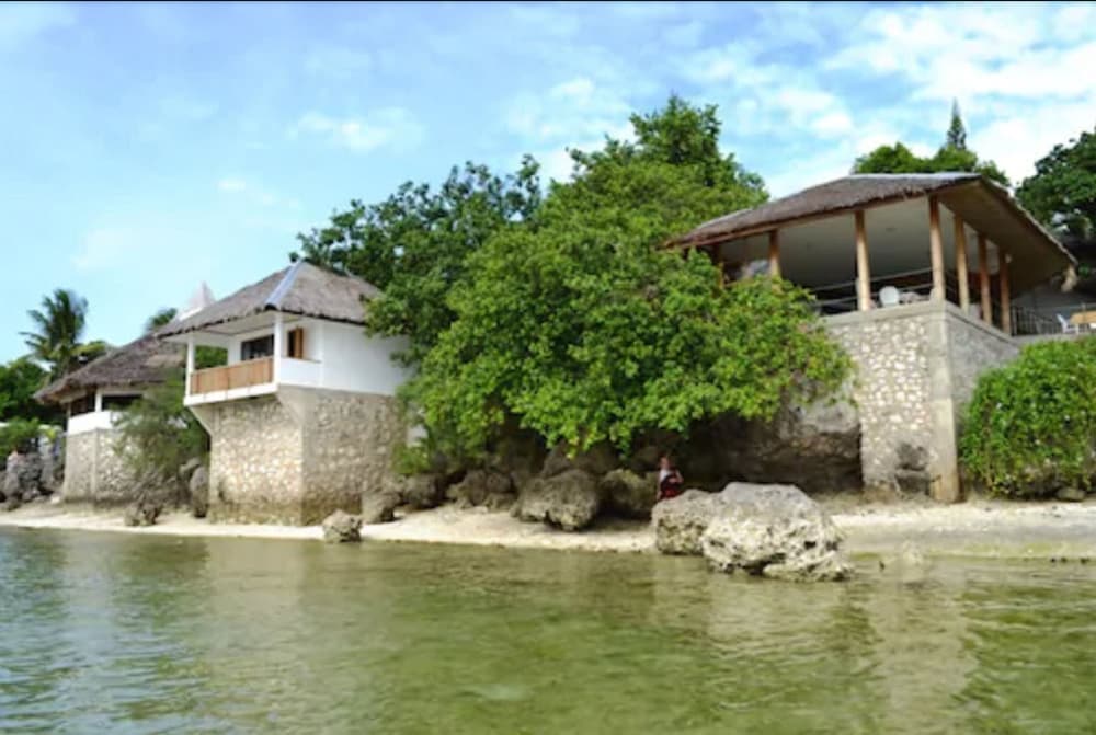quo vadis dive resort moalboal