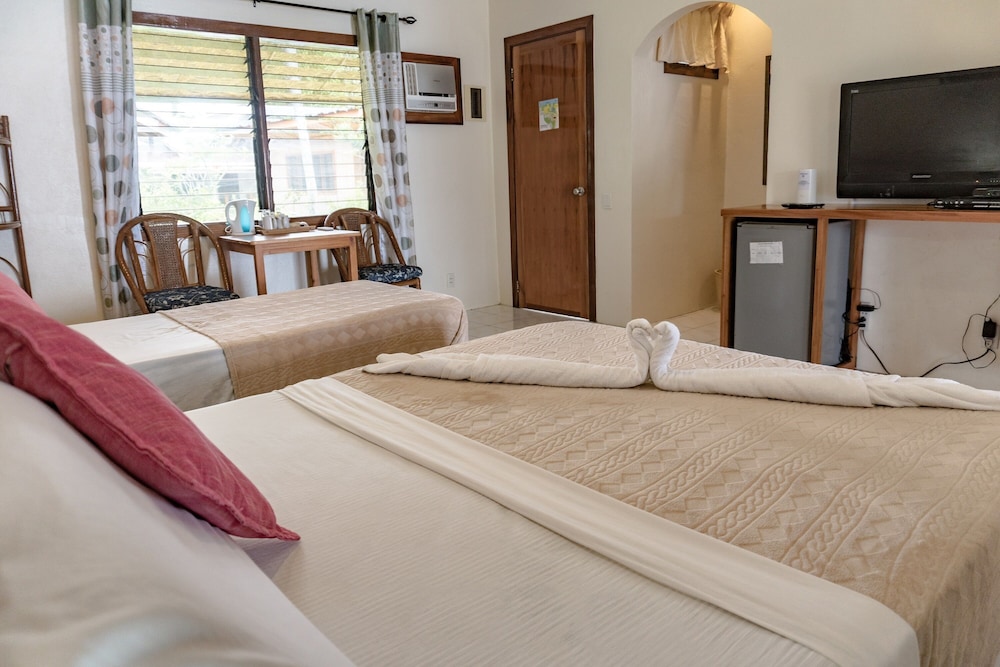 quo vadis dive resort moalboal