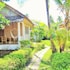 quo vadis dive resort moalboal