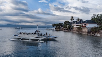 quo vadis dive resort moalboal