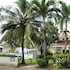 quo vadis dive resort moalboal