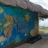 quo vadis dive resort moalboal