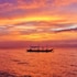 quo vadis dive resort moalboal