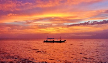 quo vadis dive resort moalboal