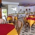quo vadis dive resort moalboal