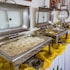 quo vadis dive resort moalboal