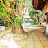 quo vadis dive resort moalboal