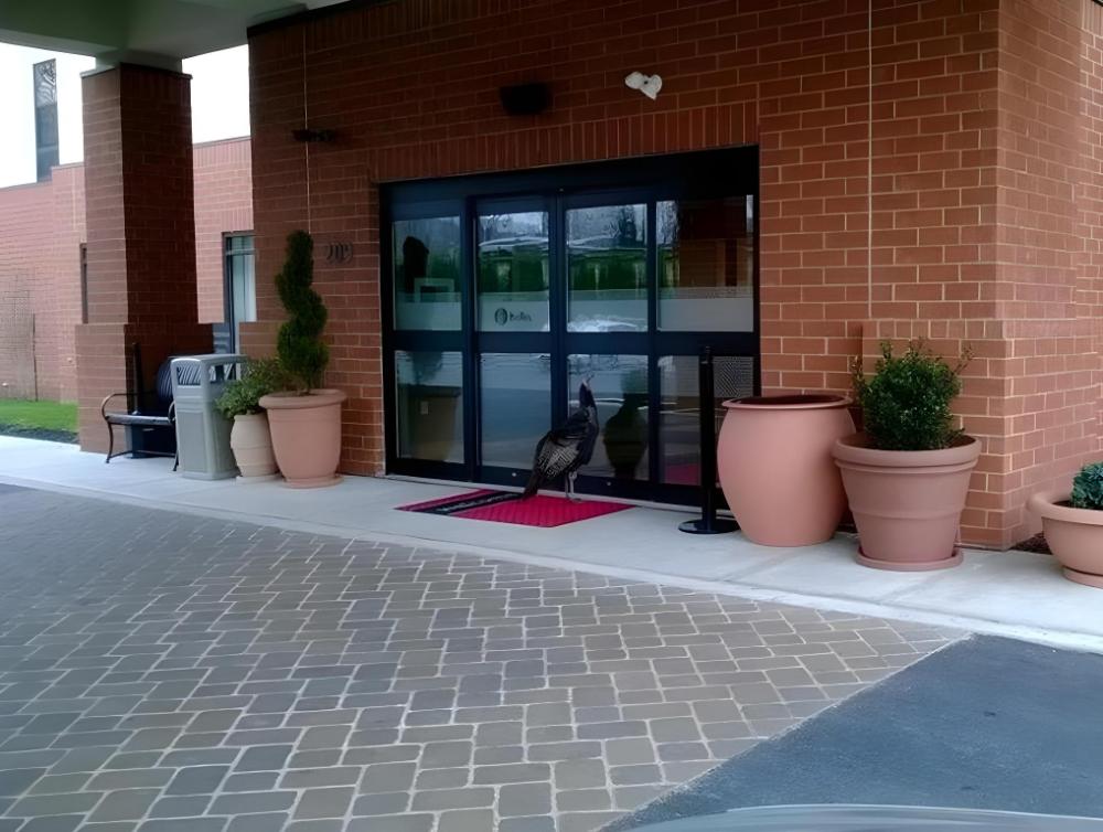 hampton inn tunkhannock