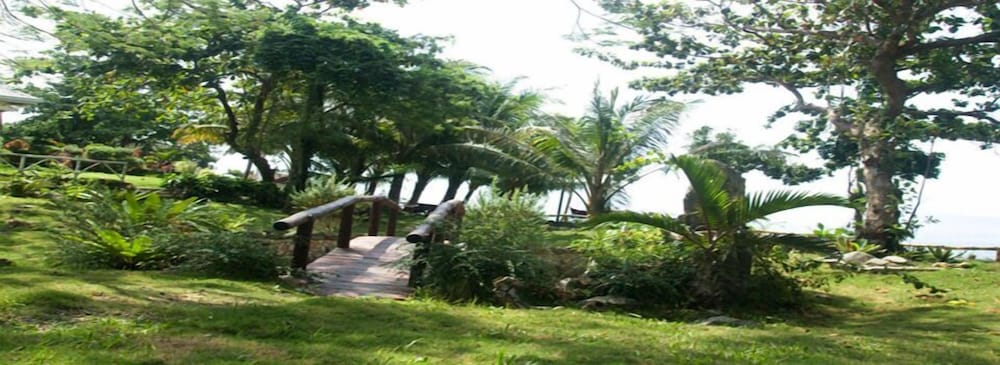 panglao kalikasan dive resort