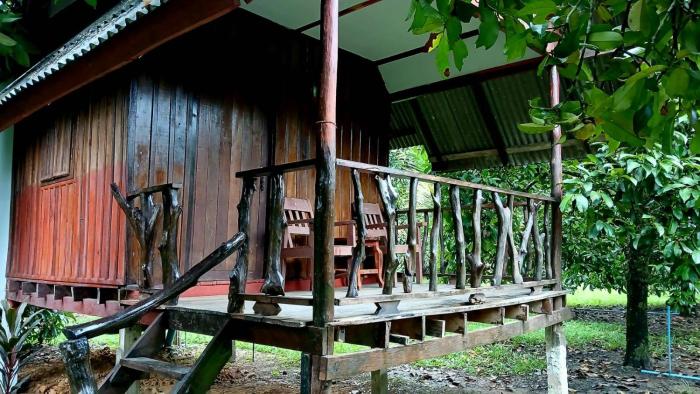 bamboo house