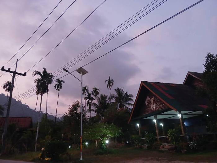 bamboo house