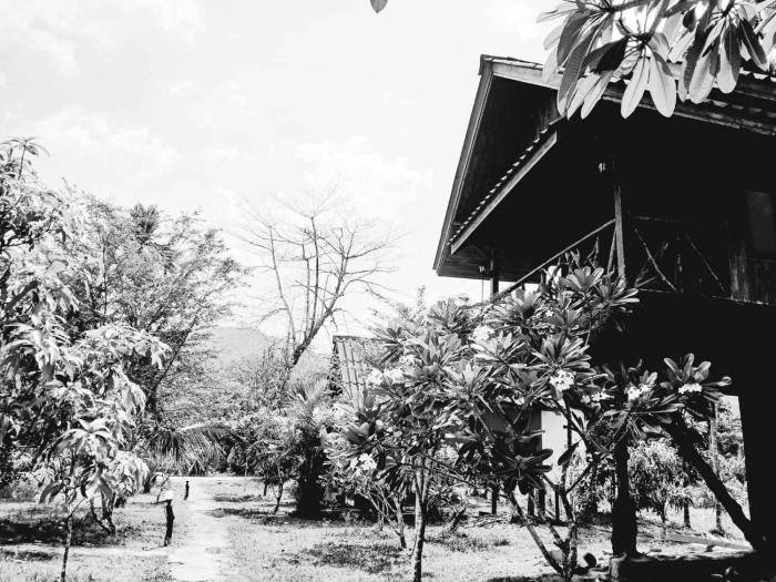 bamboo house