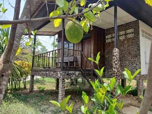 bamboo house