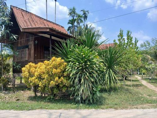 bamboo house