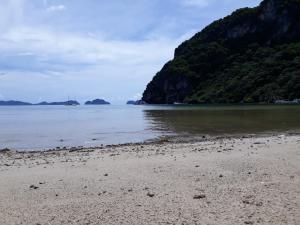 mina grande beach cottages