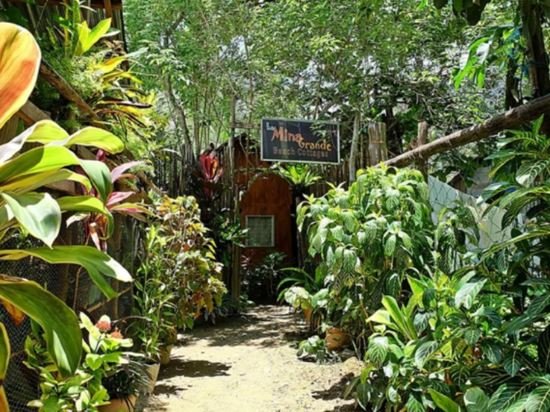 mina grande beach cottages