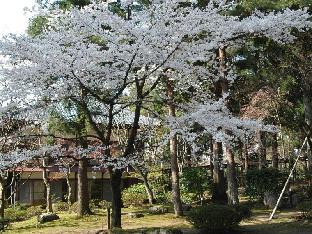 fuganoyado chouseikan