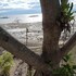 moalboal