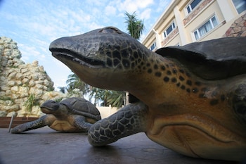 tanza oasis hotel and resort