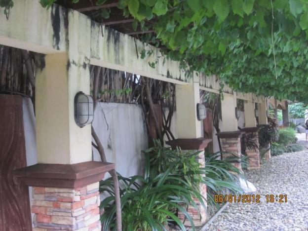 la solana suites and resort by cocotel