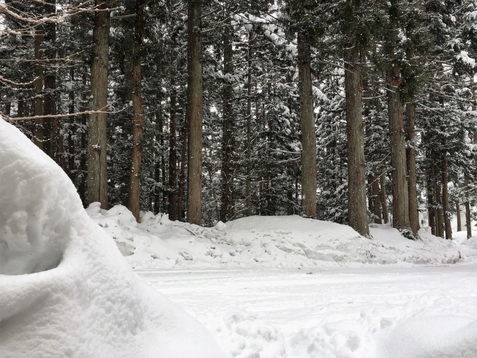 hakuba