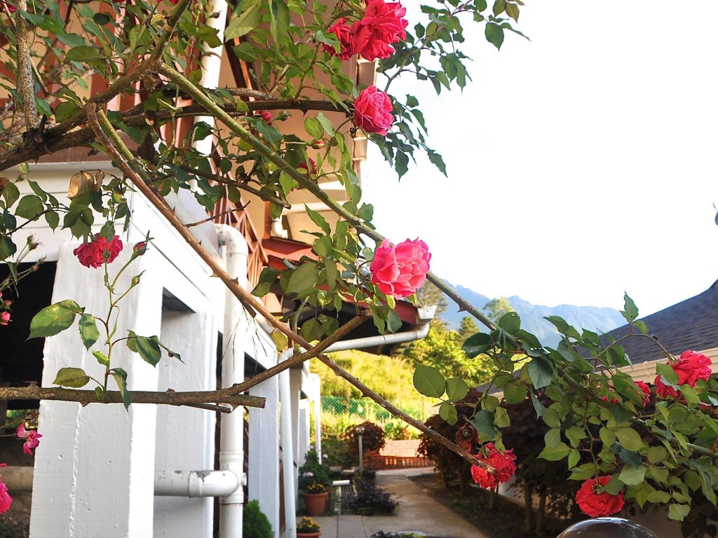 nabalu kundasang lodge