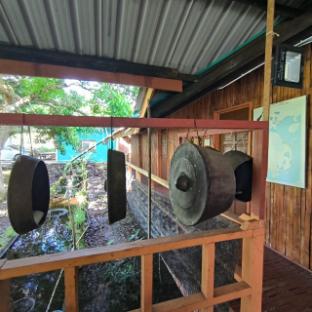 kinabalu poring vacation lodge hostel