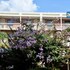 rodeway inn harbison area