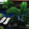 Tanjung Sari Inn,Benoa>>Bali,1 star