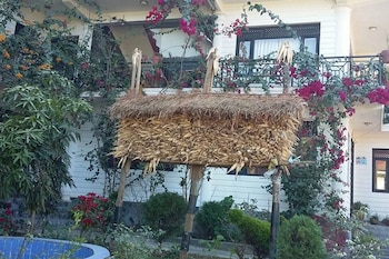 hotel bandipur palace