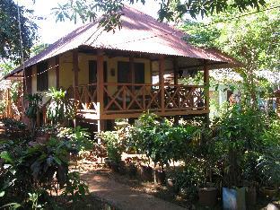 sheenas pension house