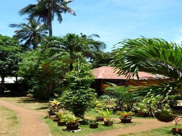 sheenas pension house