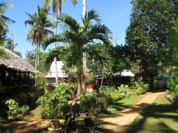 sheenas pension house