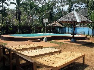 sheenas pension house