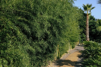 kensington resort jeju jungmun