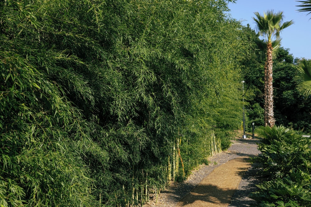 kensington resort jeju jungmun