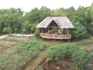 bohol coco farm adults only hostel