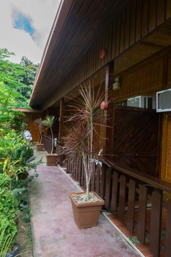 telesfora beach cottage