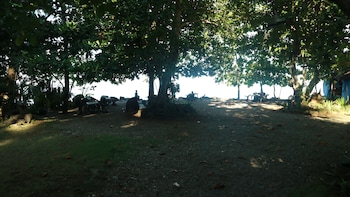 algens dive resort