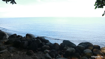 algens dive resort