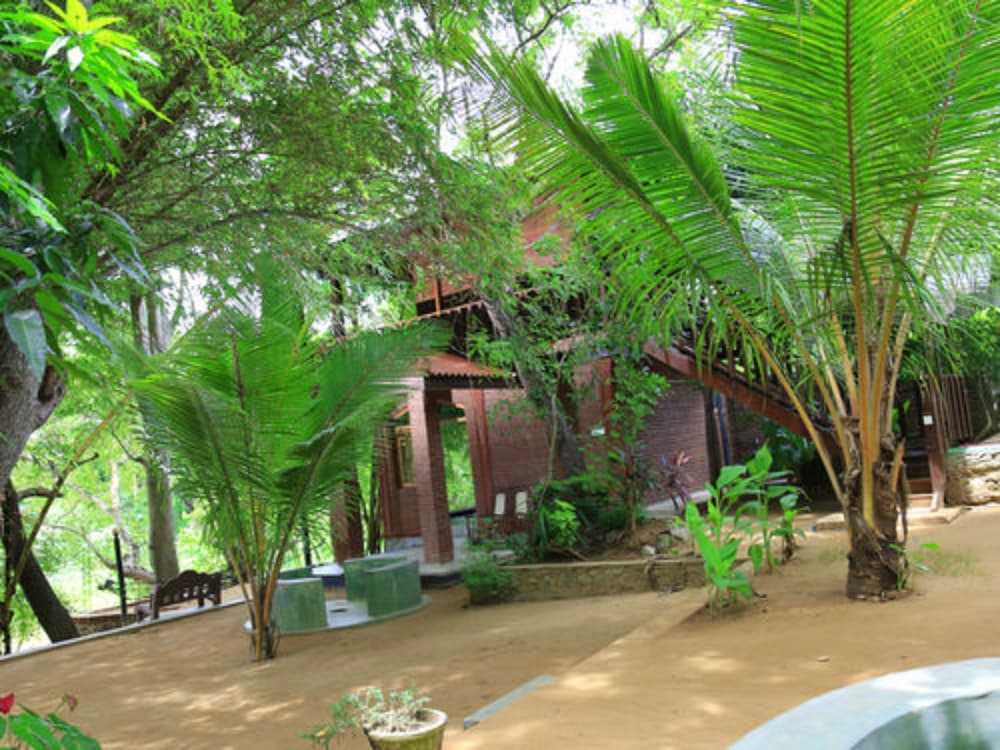 yala river face inn