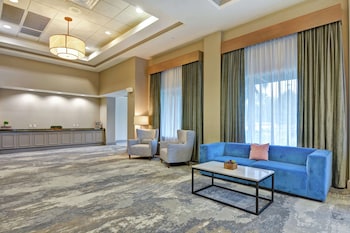 hilton garden inn lake buena vista orlando