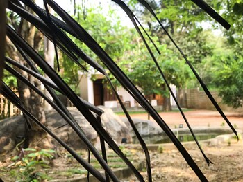 habarana