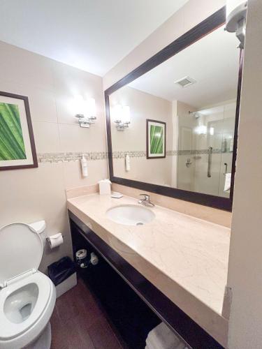 hilton garden inn panama city downtown panama