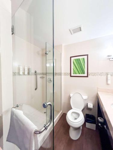 hilton garden inn panama city downtown panama