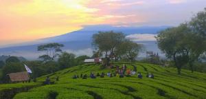 rollaas hotel and resort