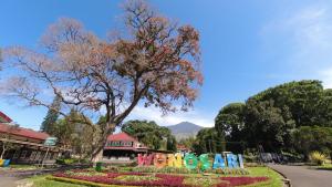 rollaas hotel and resort